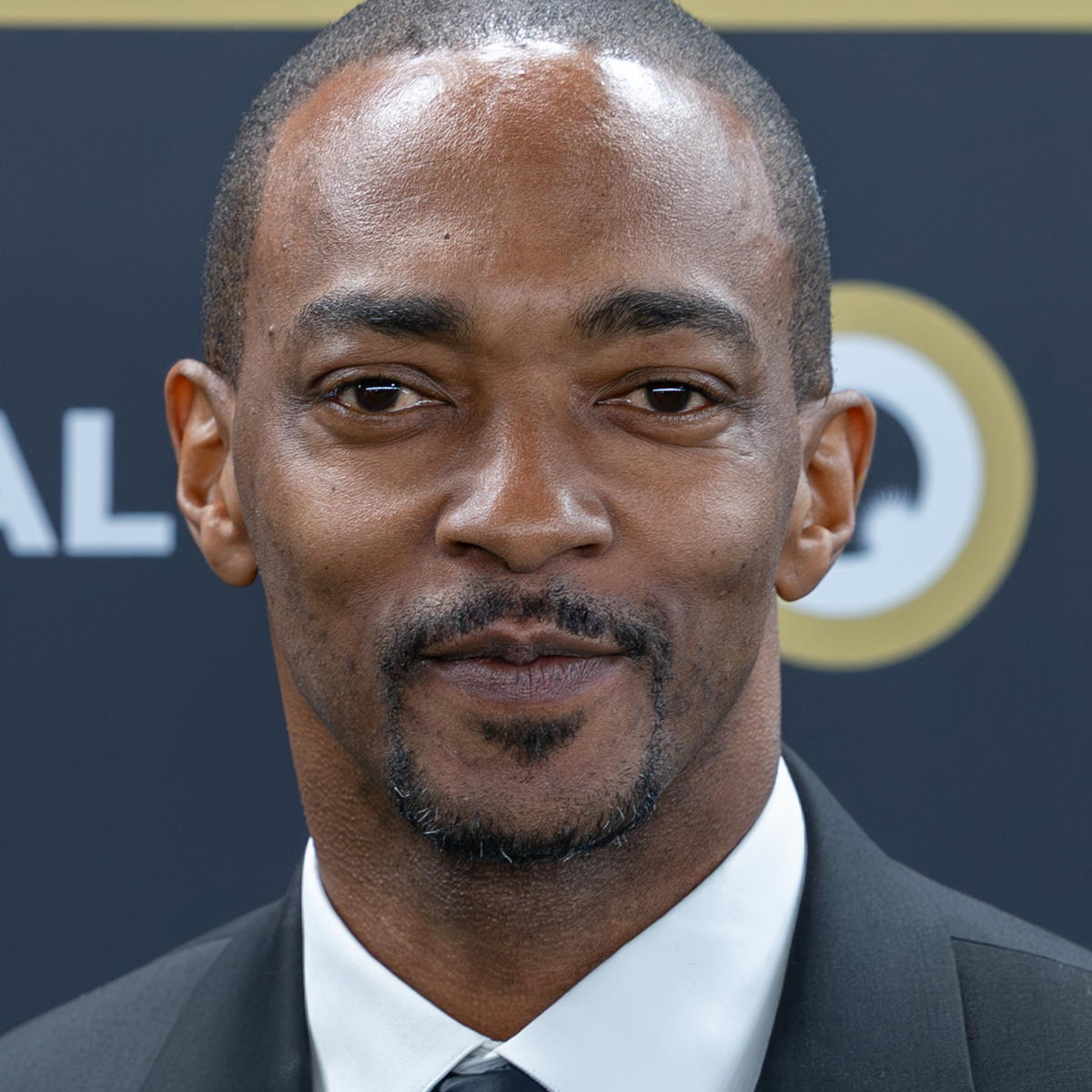 Anthony Mackie